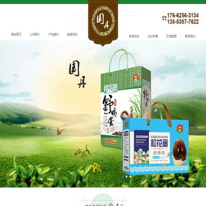 东平湖特产,山东特产,国丹牌蛋品食品,东平小麻鸭蛋,山东国丹食品开发有限公司